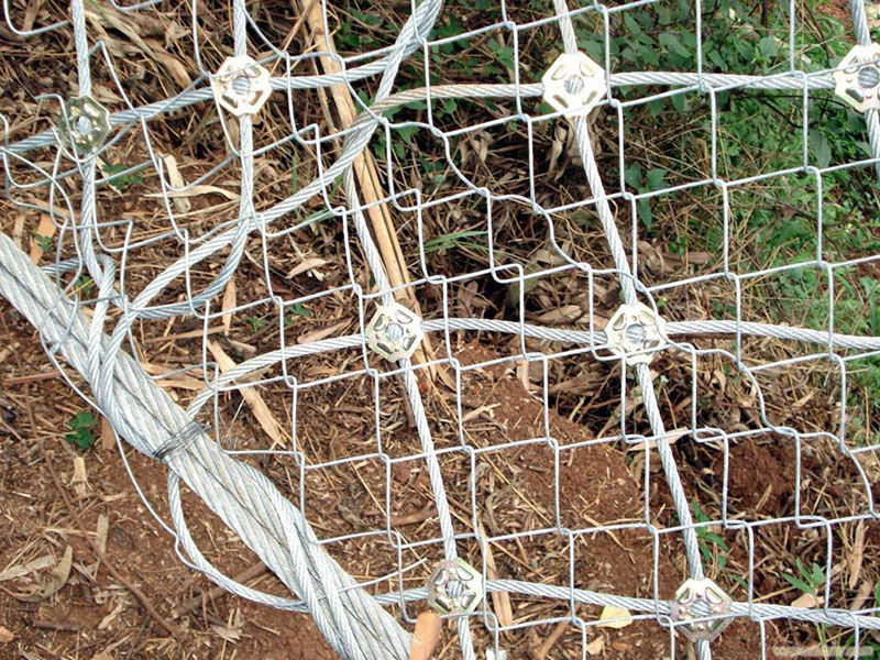 RX-050���ӷ��o�W